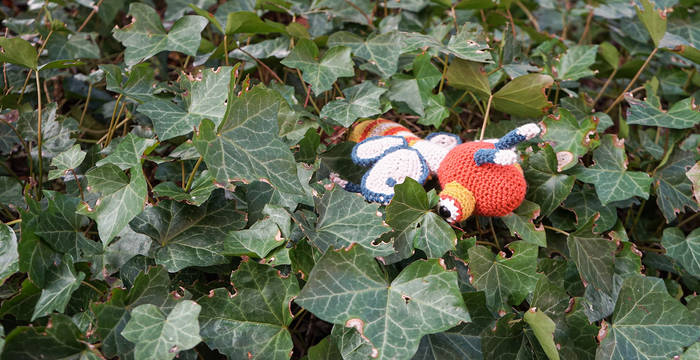 Frühjahrsflügler Insektenwettbewerb © Angela Peter