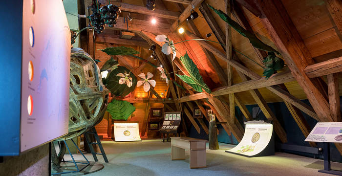 Ausstellung in Champ-Pittet © Raphael_Dupertuis