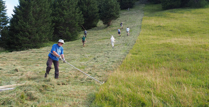 Freiwillige bei der Arbeit