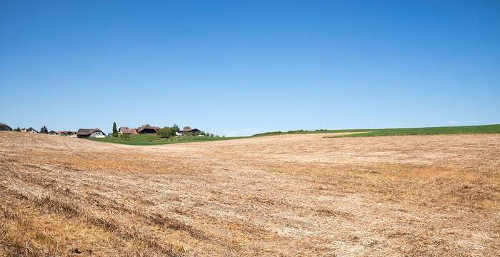 Glyphosat © Matthias Sorg