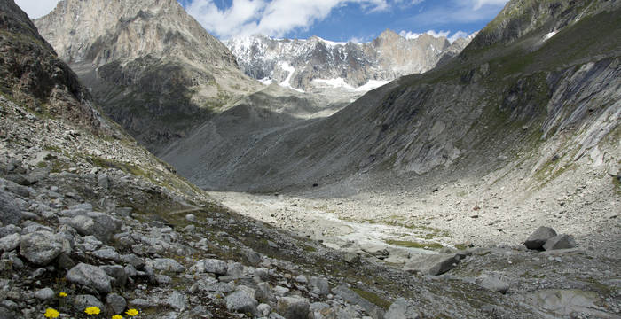 Berner Hochalpen und Aletsch-Bietschhorn-Gebiet