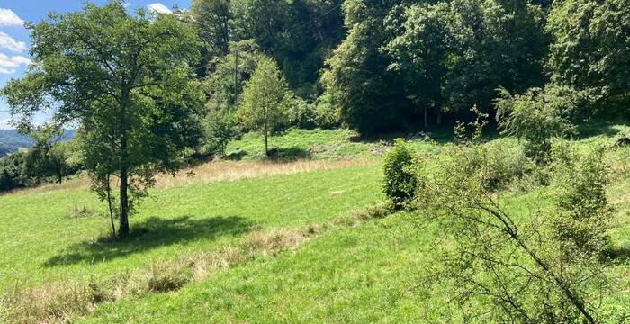 Tüüfels-Chuchi_Beringen