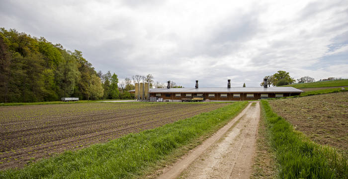 Hangar à volailles sur une surface agricole dans le canton de Fribourg. Conforme ou non à la zone?