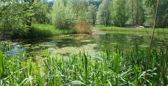 Schutzgebiet Munté