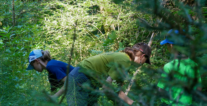 Natur Suche Kinder