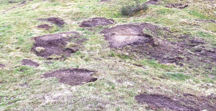 Photo de presse zone d’estivage broyée