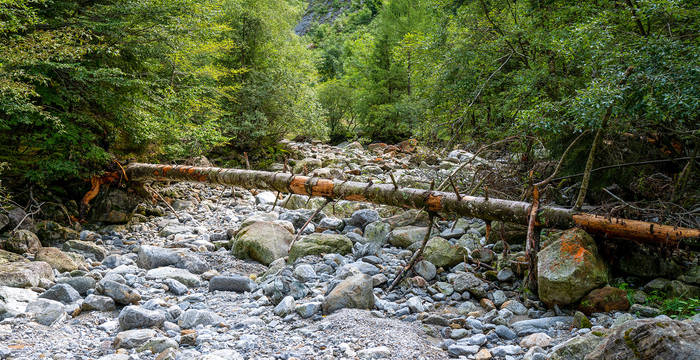 Trockenes Flussbett im Val Cama