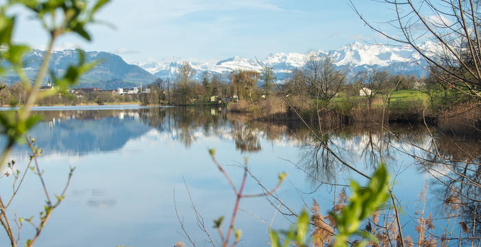 Réserve naturelle Baldeggersee