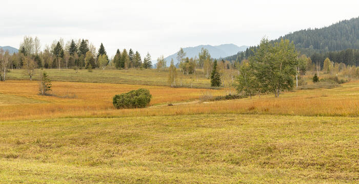 Moorebene Rothenthurm