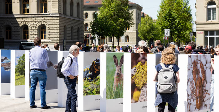 La crise de la biodiversité – un gigantesque effet domino sur la Place fédérale