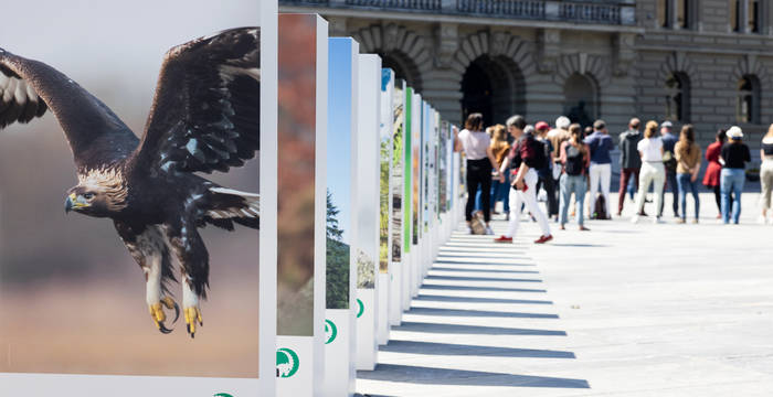 La crise de la biodiversité – un gigantesque effet domino sur la Place fédérale