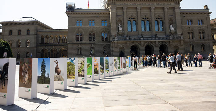 Pressebilder Biodiversitätsdomino © Pro Natura