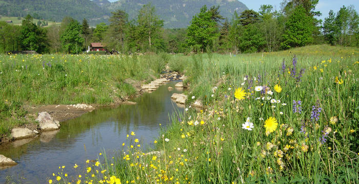 Chlausenbach im Kanton Schwyz