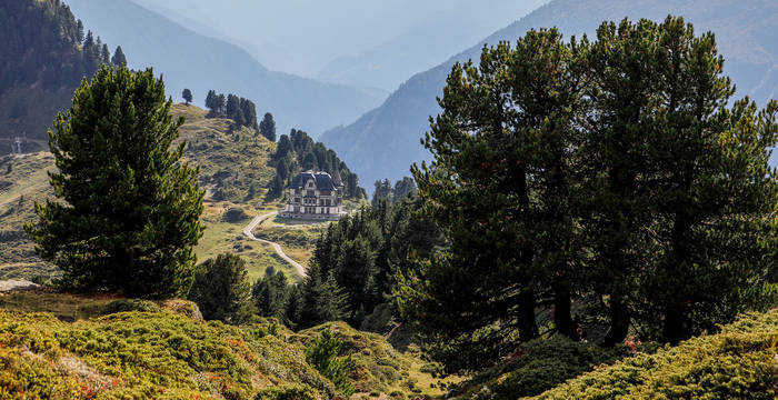 La forêt d’Aletsch, aujourd’hui nonagénaire, avec vue sur le Centre Pro Natura installé dans les murs historiques de la Villa Cassel.