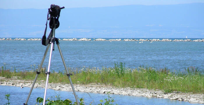 grangettes_lac_et_longuevue_pro_natura_vaud