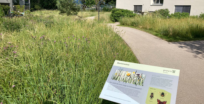 Previs: Des panneaux d’information expliquent les revalorisations aux habitant·e·s ainsi qu’aux visiteuses et visiteurs, et présentent les hôtes typiques des nouveaux milieux naturels.