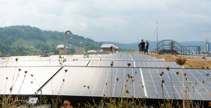 La construction d’une installation solaire peut aller de pair avec la végétalisation d’un toit. Un nouveau milieu naturel voit le jour sur les toits de l’hôpital cantonal de Winterthour.