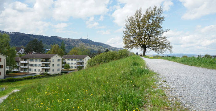 Naturnahe Flächen am Siedlungsrand sind wichtige Trittsteine für viele Tierarten