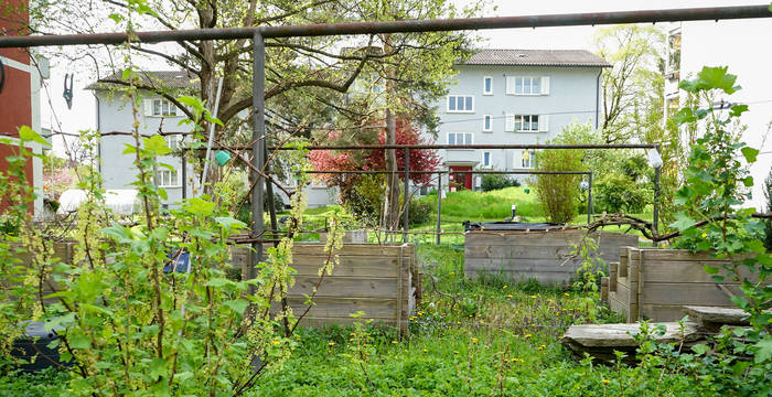 la nature dans les zones urbaines