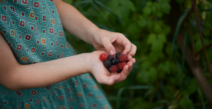 Beeren pflücken im Naturgarten