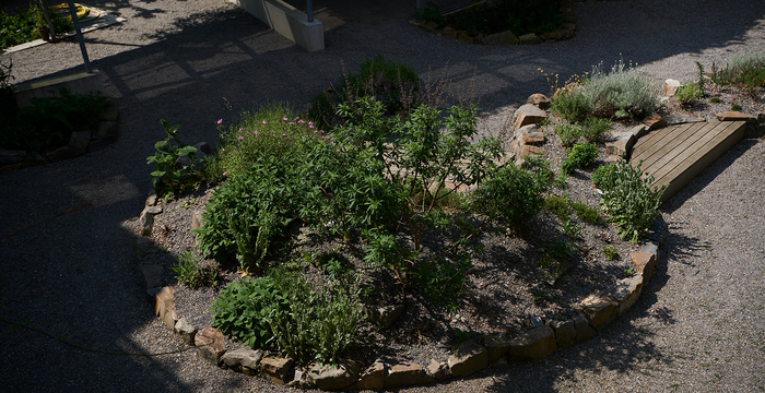 Naturgarten Wohnsiedlung «In den Bäumen» Egg (ZH)