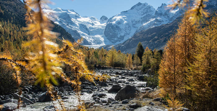 Glacier Morteratsch