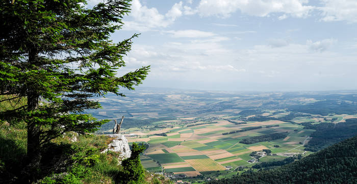 Symbolbild für Raumplanung - Blick von einem Hügel aus auf die Landschaft mit ihren bewirtschafteten Felder. © Matthias Sorg