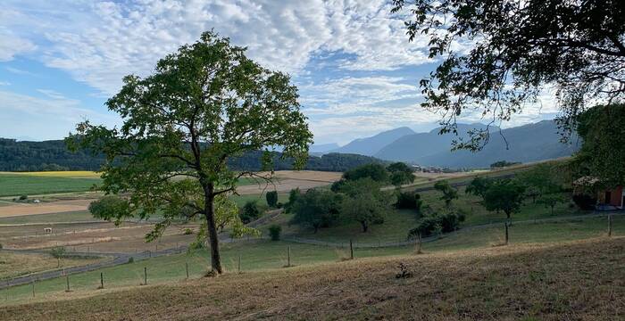 Paysage agricole à Fontaines-sur-Grandson