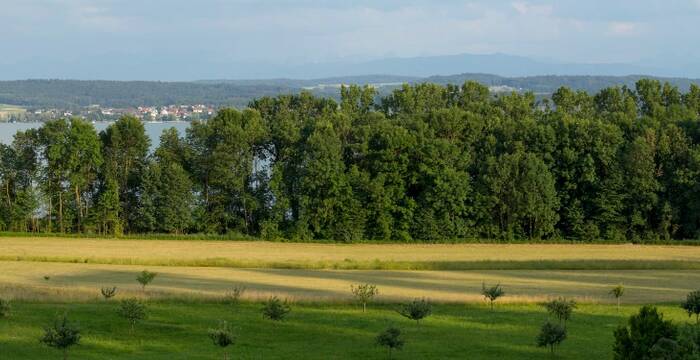 Vue panoramique de la Réserve des Chenevières de Guévaux