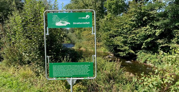 Fenster zum Thema Strukturvielfalt