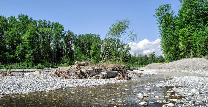 Zone alluviale d'importance nationale à Utzenstorf Schachen