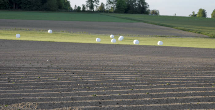 La monoculture des grandes cultures en Suisse © Matthias Sorg