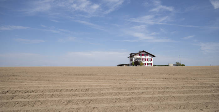 Ackerbau in Monokultur in der Schweiz  © Matthias Sorg