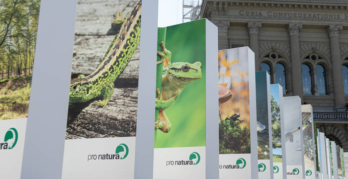 Die Krise der Biodiversität - ein gigantischer Dominoeffekt auf dem Bundesplatz. © Die Krise der Biodiversität - ein gigantischer Dominoeffekt auf dem Bundesplatz. © Claudio Büttler