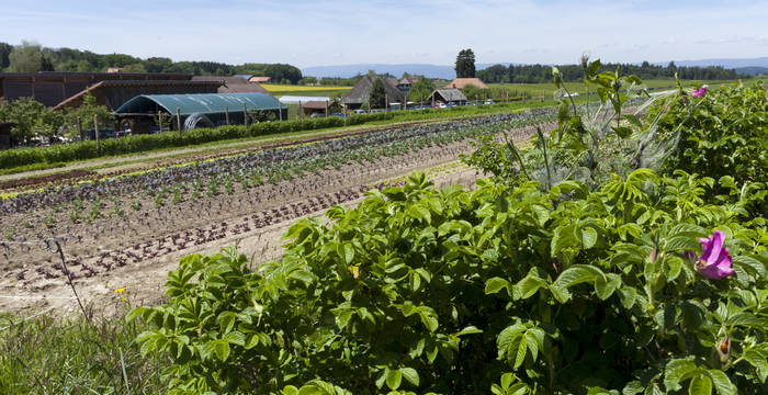 Exemple d'une exploitation agricole biodynamique © Matthias Sorg