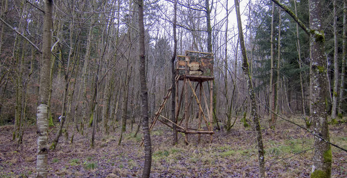 Jagdhochsitz im Wald © Pro Natura