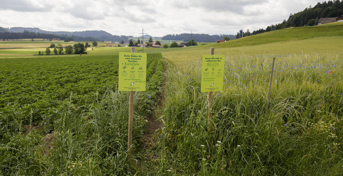 L'agriculture biologique en Suisse © Matthias Sorg