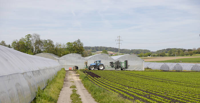 Intensive Landwirtschaft mit Gewächshäusern im Dreiseenland, Schweiz © Matthias Sorg
