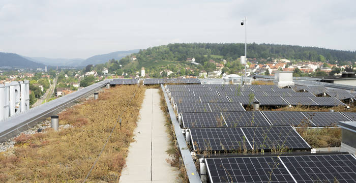 Beispiel (begrünter) Solaranlagen im Siedlungsraum, hier in Winterthur © Angela Peter