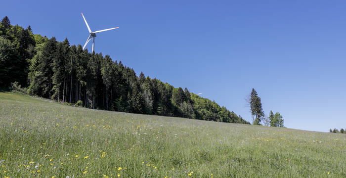 Ein Windrad hinter einem Wald und einer Wiese © Matthias Sorg