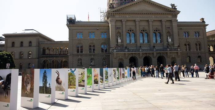 Am 22. Mai 2023, dem internationalen Tag der Biodiversität, zeigte Pro Natura vor dem Bundeshaus mit einem riesigen Dominoeffekt, dass ein Zusammenbruch der biologischen Vielfalt die Grundlagen der menschlichen Existenz bedroht. © Claudio Büttler