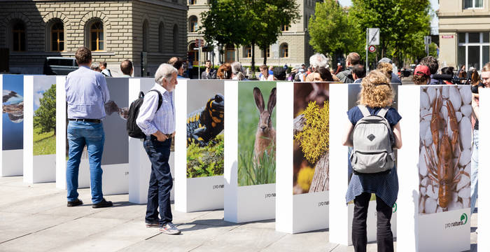 Die Krise der Biodiversität - ein gigantischer Dominoeffekt auf dem Bundesplatz. © Claudio Büttler