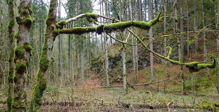 Tagesexkursion Combe Tabeillon