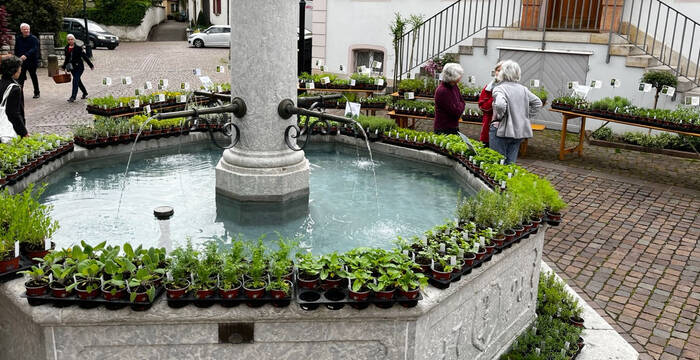 Wildpflanzen- und Kräutermarkt Arlesheim