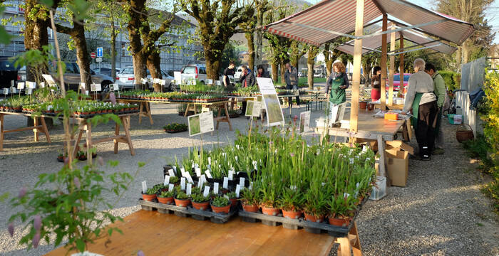 Wildpflanzen- und Kräutermarkt Gelterkinden