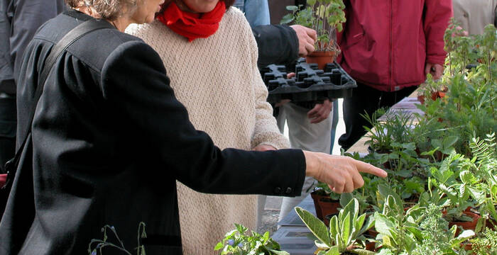 Wildpflanzen- und Kräutermarkt Sissach