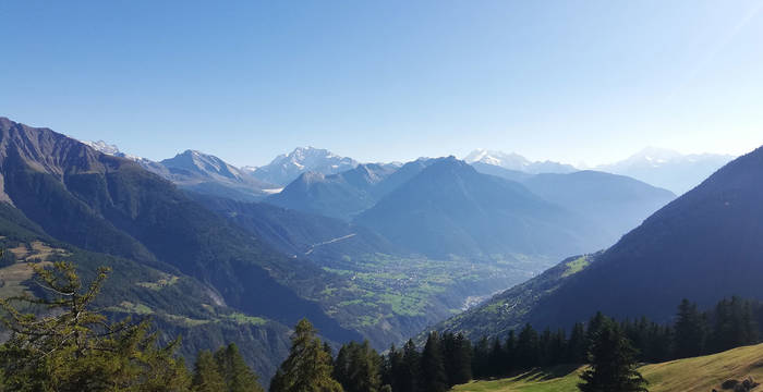 Vacances en faveur de la nature, Bettmeralp, Haut-Valais - Chantier mur de pierres sèches