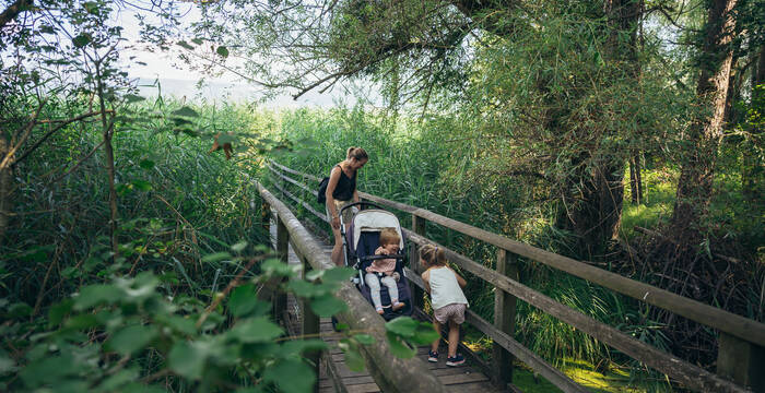 famille_grande_caricaie