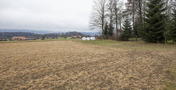 Glyphosateinsatz auf Feld