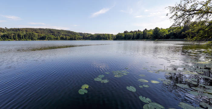Vom Weg aus können Sie immer wieder ein Blick auf den Burgäschisee erhaschen.